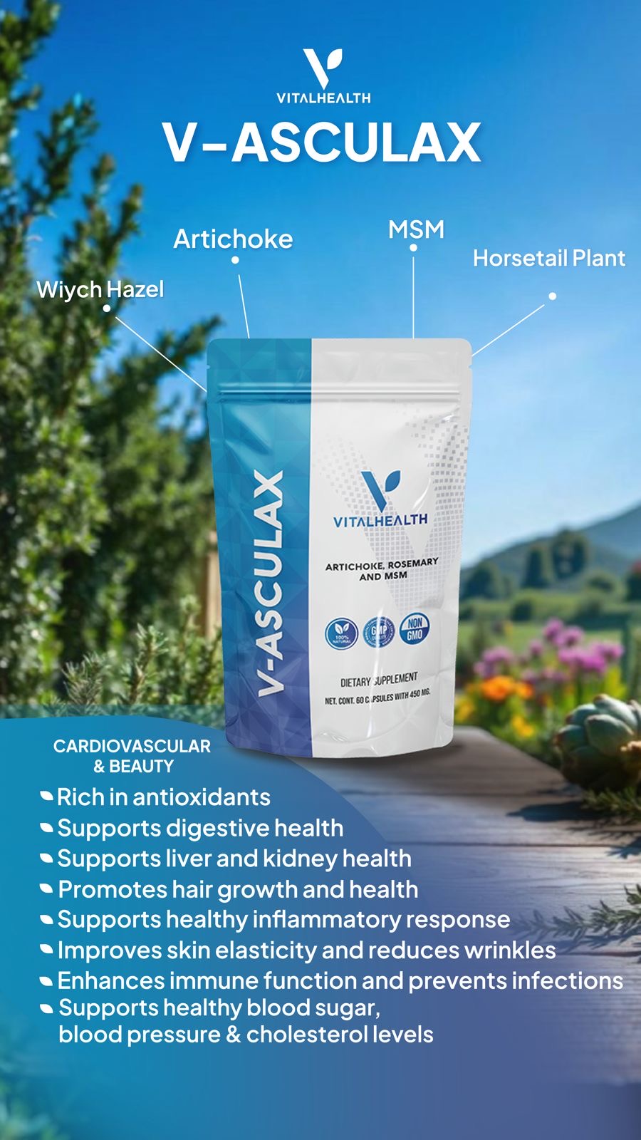 V-asculax - Our formula blends natural extracts of Artichoke, Rosemary, Witch Hazel, and Horsetail, ingredients known for their support of elasticity and blood flow